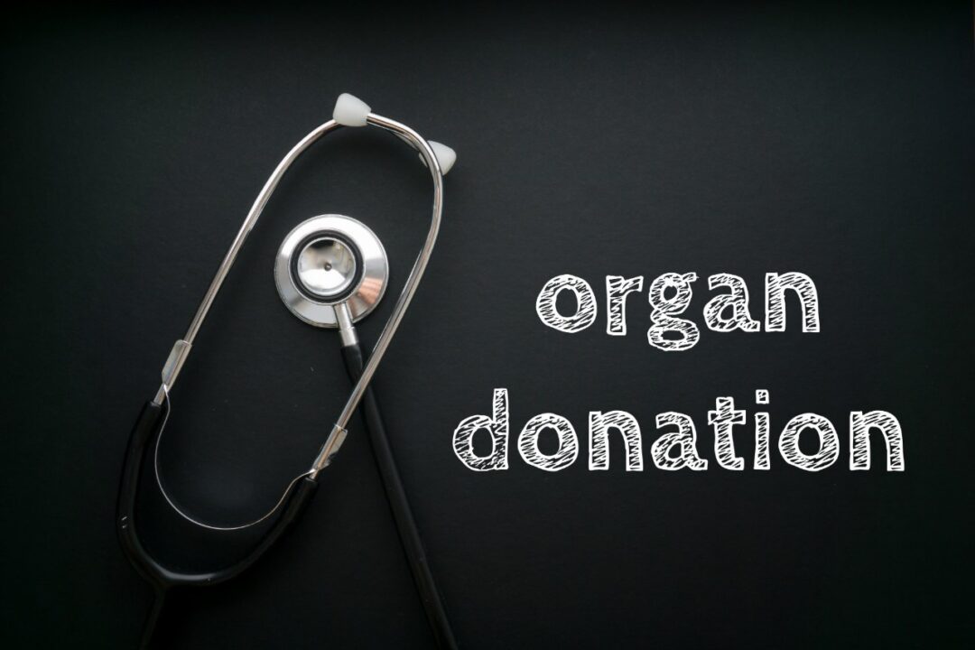 How does organ donation work?