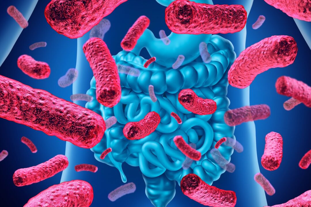 Can probiotics help with diarrhea resulting from antibiotics?