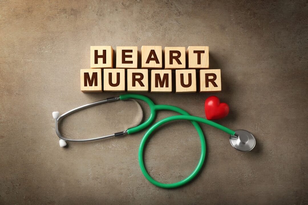 What is a Heart Murmur?