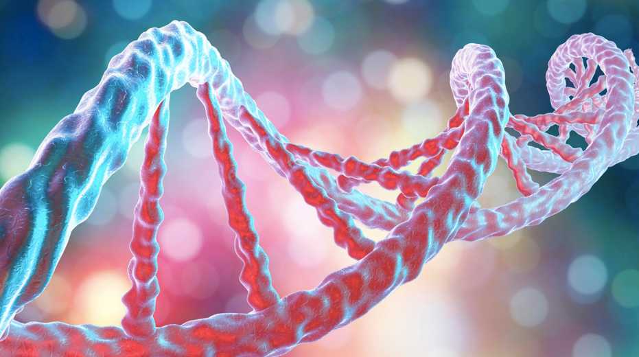 Which Genes Are Associated with Breast Cancer? | Health Channel